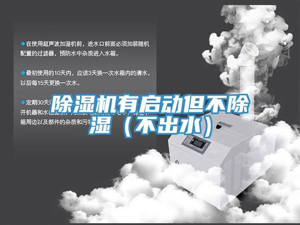 MR.好色破解版有启动但不除湿（不出水）
