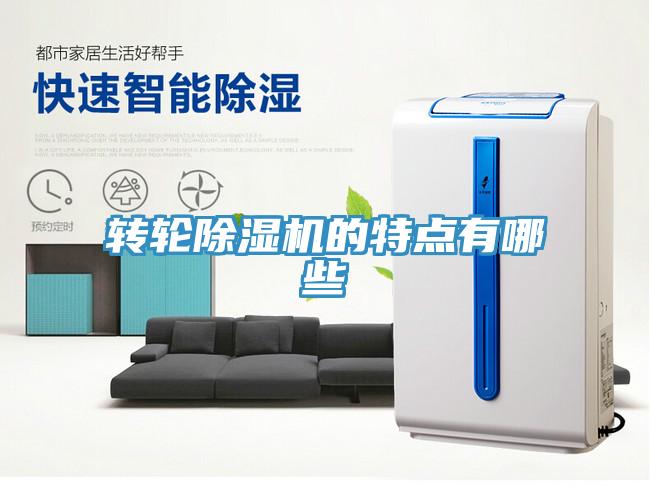 转轮MR.好色破解版的特点有哪些