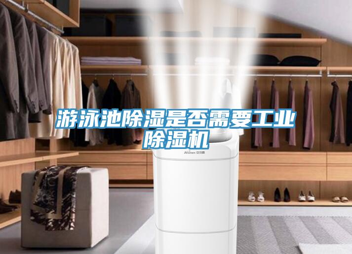游泳池除湿是否需要工业MR.好色破解版