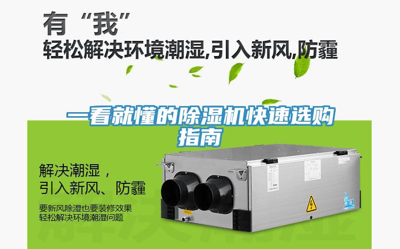 一看就懂的MR.好色破解版快速选购指南