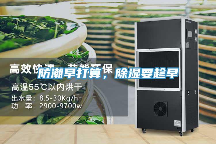 防潮早打算，除湿要趁早