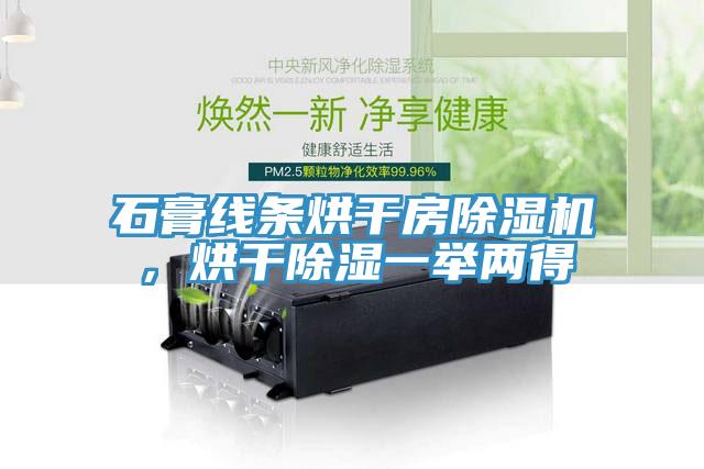 石膏线条烘干房MR.好色破解版，烘干除湿一举两得