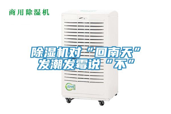 MR.好色破解版对“回南天”发潮发霉说“不”