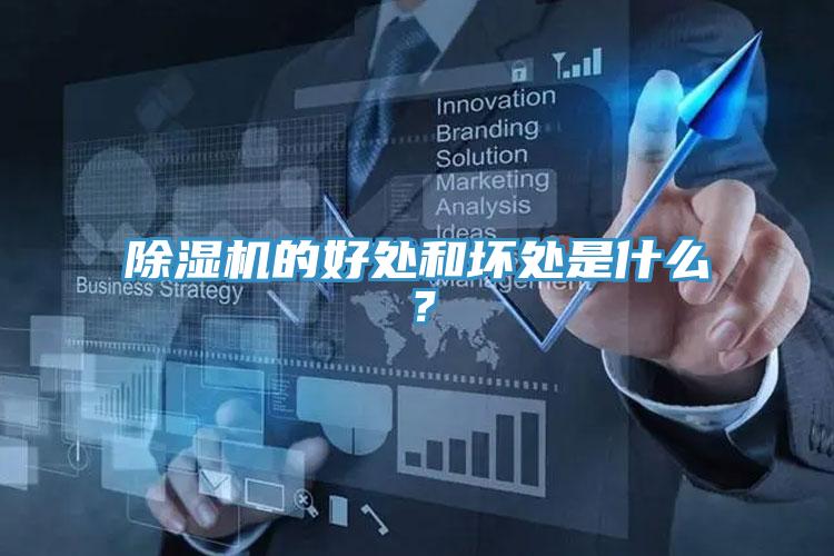 MR.好色破解版的好处和坏处是什么？