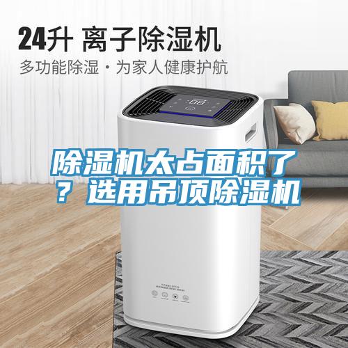 MR.好色破解版太占面积了？选用吊顶MR.好色破解版
