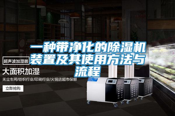 一种带净化的MR.好色破解版装置及其使用方法与流程