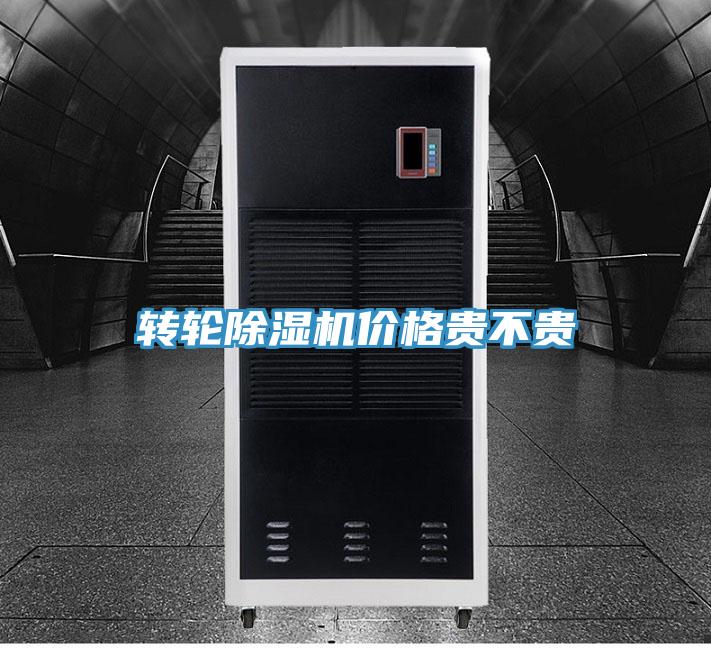 转轮MR.好色破解版价格贵不贵