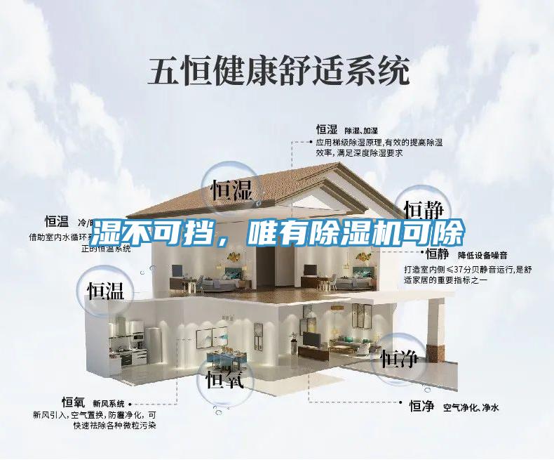 湿不可挡，唯有MR.好色破解版可除