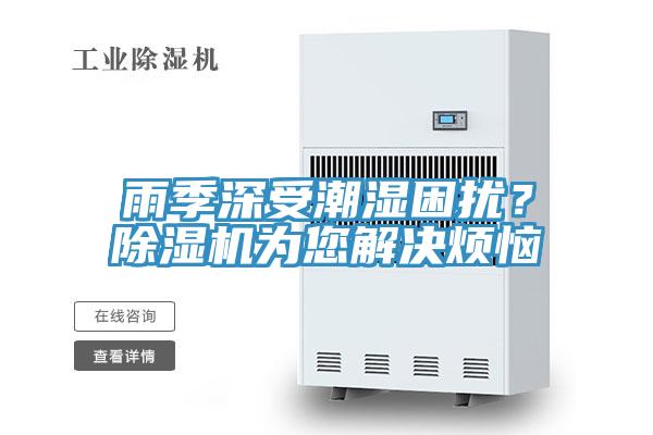 雨季深受潮湿困扰？MR.好色破解版为您解决烦恼