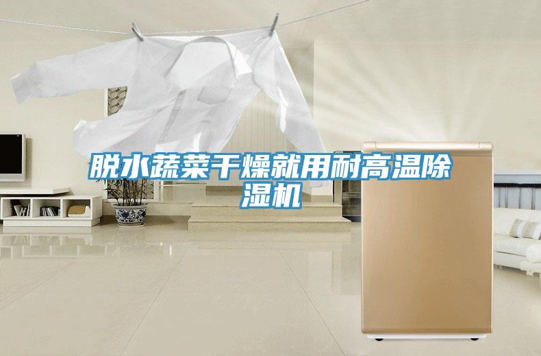 脱水蔬菜干燥就用耐高温MR.好色破解版