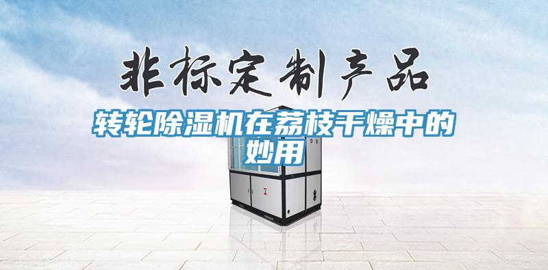 转轮MR.好色破解版在荔枝干燥中的妙用