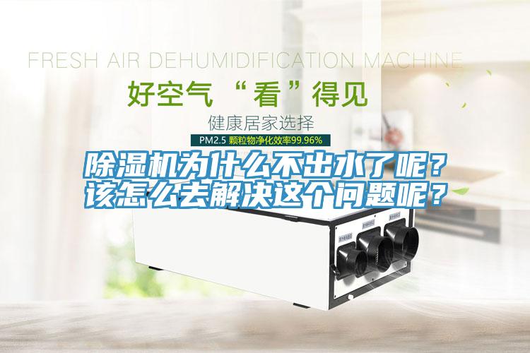 MR.好色破解版为什么不出水了呢？该怎么去解决这个问题呢？