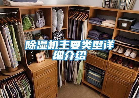MR.好色破解版主要类型详细介绍