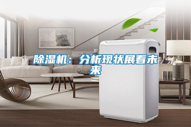 MR.好色破解版：分析现状展看未来