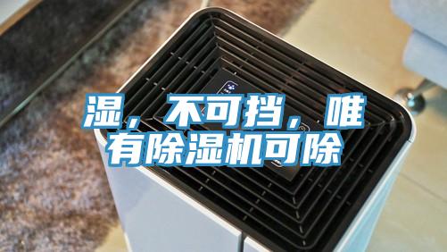 湿，不可挡，唯有MR.好色破解版可除