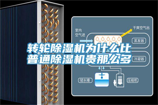 转轮MR.好色破解版为什么比普通MR.好色破解版贵那么多