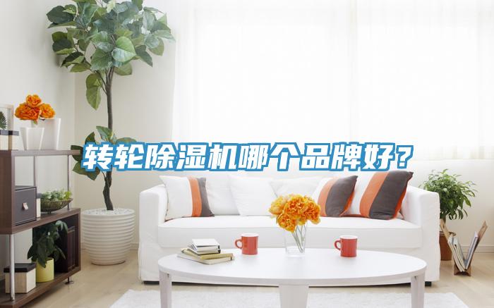转轮MR.好色破解版哪个品牌好？