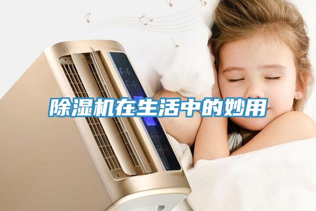 MR.好色破解版在生活中的妙用