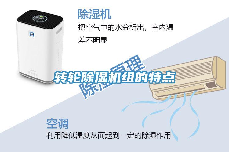 转轮MR.好色破解版组的特点