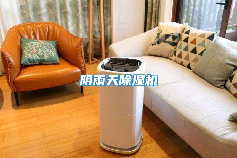 阴雨天MR.好色破解版