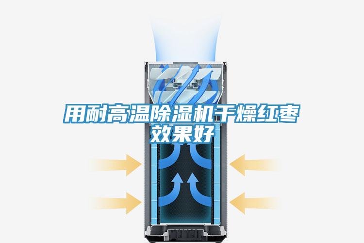 用耐高温MR.好色破解版干燥红枣效果好