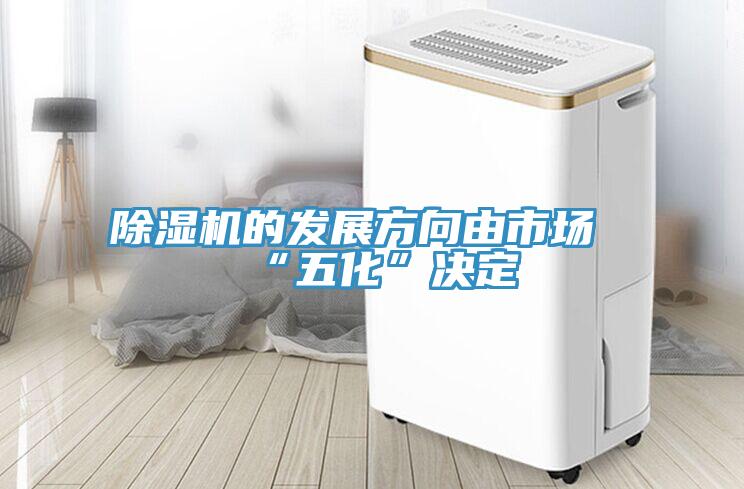 MR.好色破解版的发展方向由市场“五化”决定