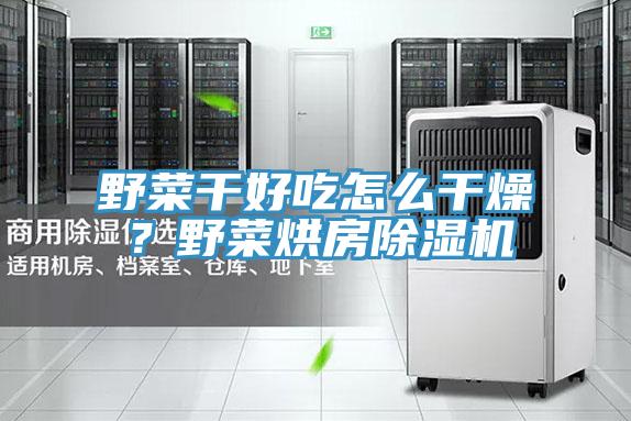 野菜干好吃怎么干燥？野菜烘房MR.好色破解版