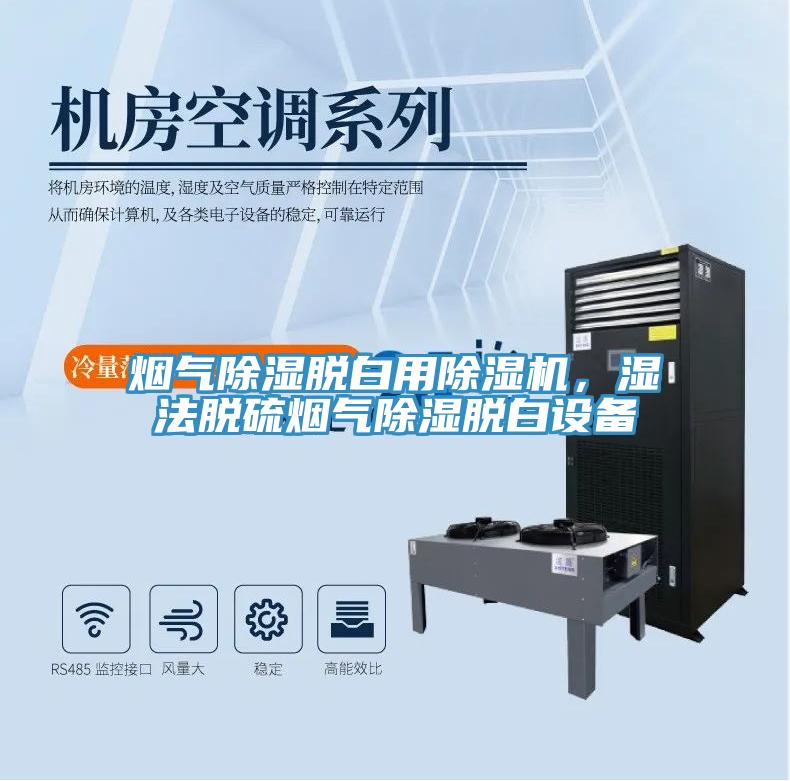 烟气除湿脱白用MR.好色破解版，湿法脱硫烟气除湿脱白设备