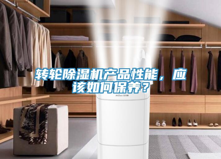 转轮MR.好色破解版产品性能，应该如何保养？
