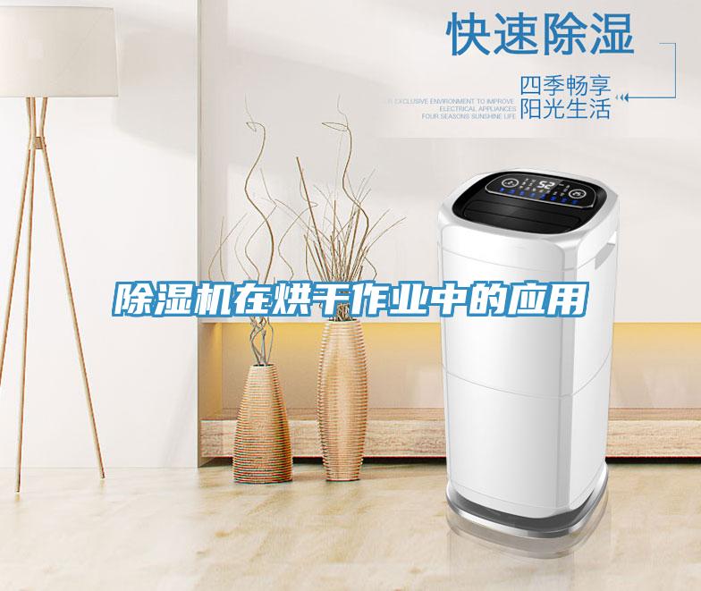 MR.好色破解版在烘干作业中的应用