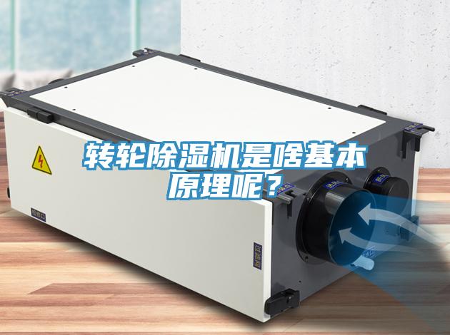 转轮MR.好色破解版是啥基本原理呢？