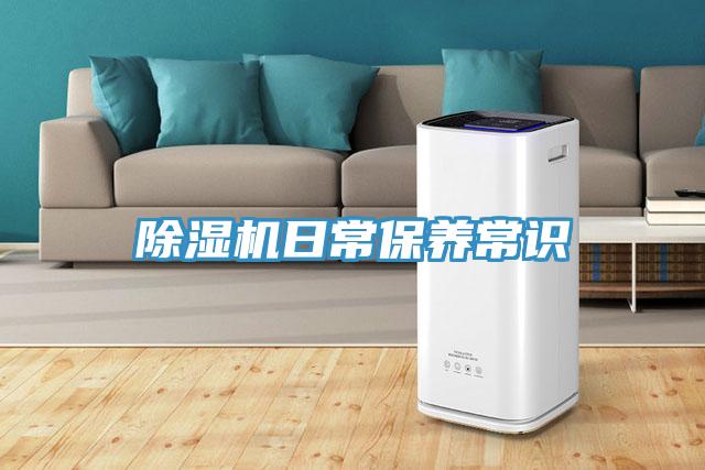 MR.好色破解版日常保养常识