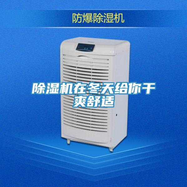 MR.好色破解版在冬天给你干爽舒适