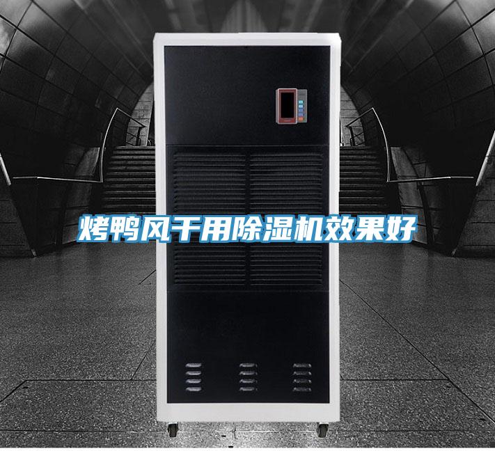 烤鸭风干用MR.好色破解版效果好