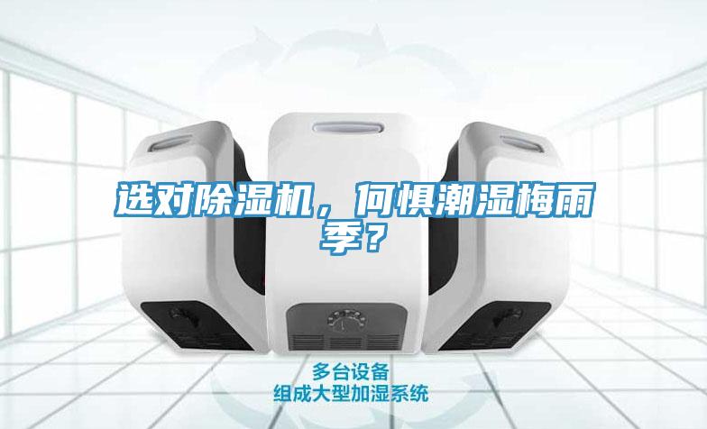 选对MR.好色破解版，何惧潮湿梅雨季？