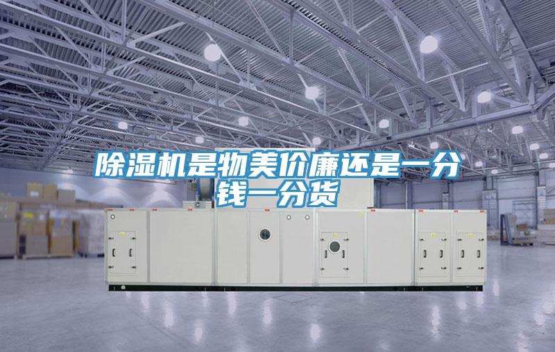 MR.好色破解版是物美价廉还是一分钱一分货