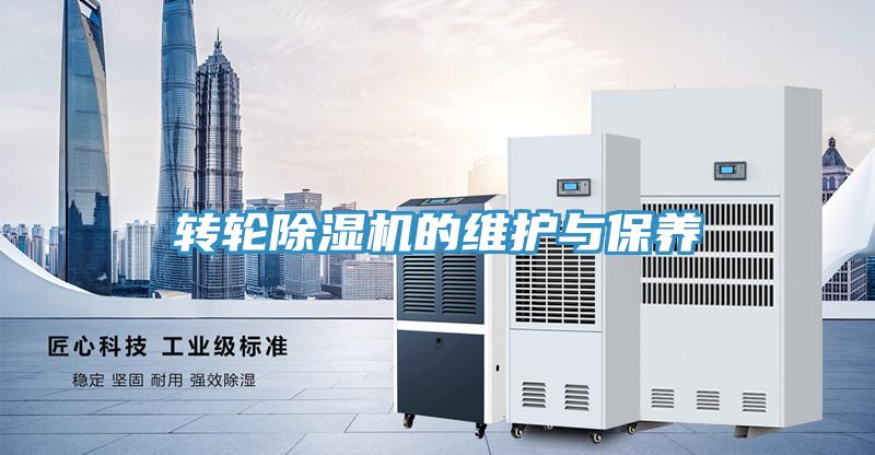 转轮MR.好色破解版的维护与保养