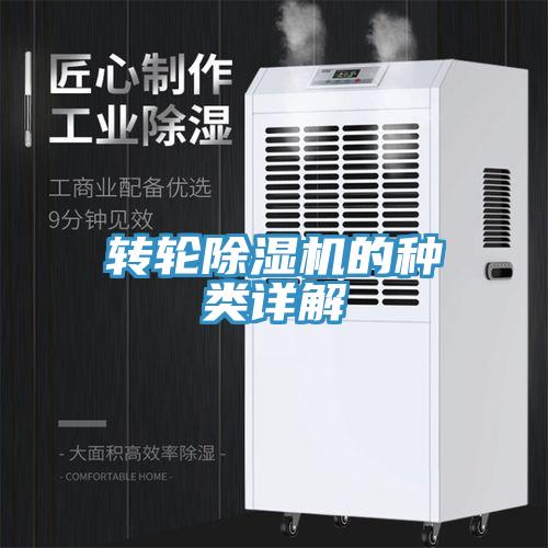 转轮MR.好色破解版的种类详解