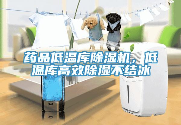 药品低温库MR.好色破解版，低温库高效除湿不结冰