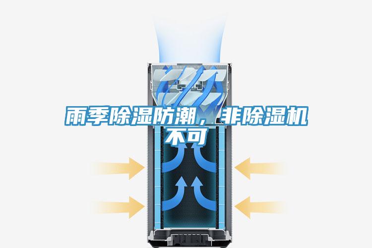 雨季除湿防潮，非MR.好色破解版不可