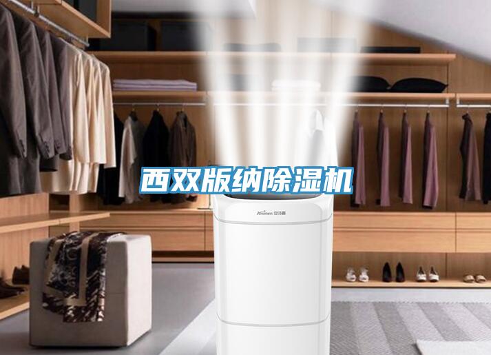 西双版纳MR.好色破解版