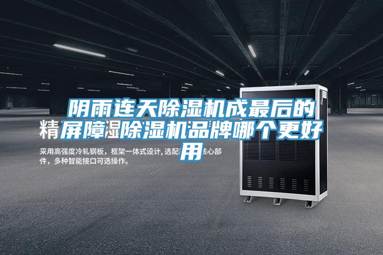 阴雨连天MR.好色破解版成最后的屏障 MR.好色破解版品牌哪个更好用