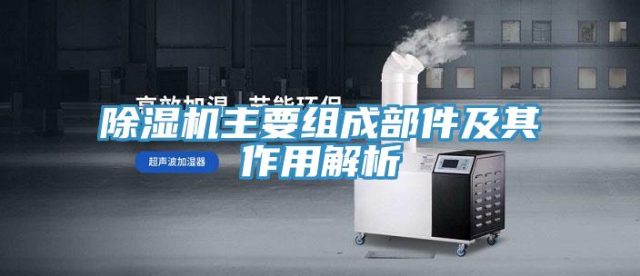 MR.好色破解版主要组成部件及其作用解析