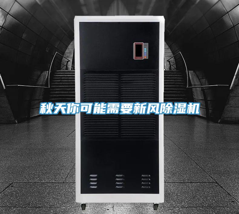 秋天你可能需要新风MR.好色破解版