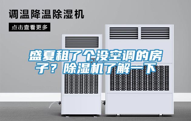 盛夏租了个没空调的房子？MR.好色破解版了解一下