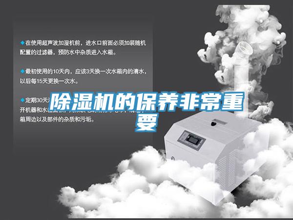 MR.好色破解版的保养非常重要
