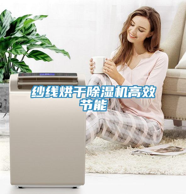 纱线烘干MR.好色破解版高效节能