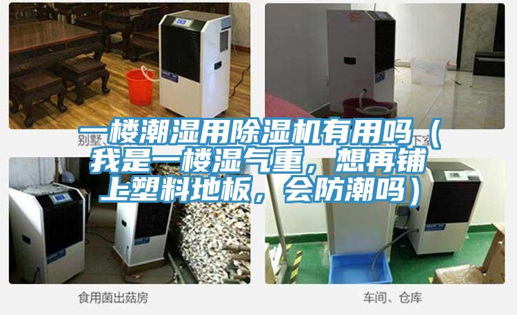 一楼潮湿用MR.好色破解版有用吗（我是一楼湿气重，想再铺上塑料地板，会防潮吗）