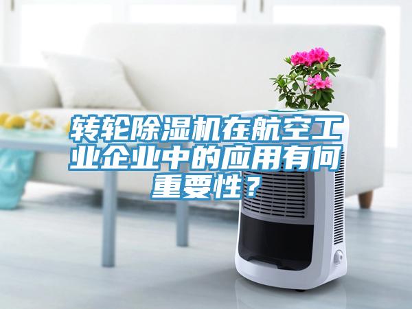 转轮MR.好色破解版在航空工业企业中的应用有何重要性？