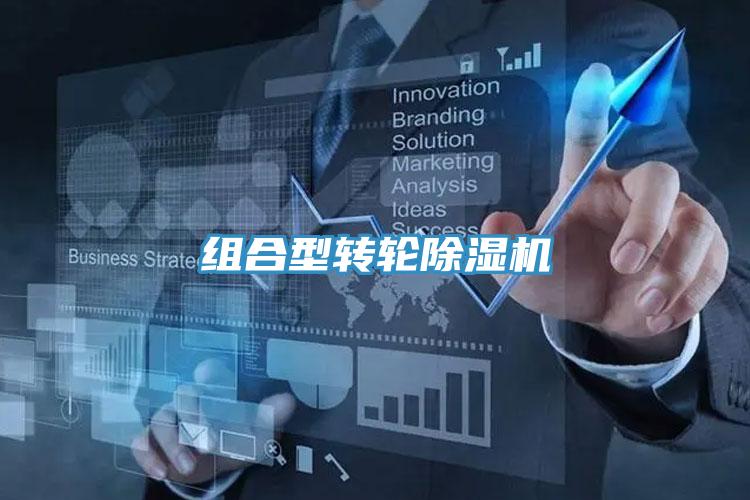 组合型转轮MR.好色破解版
